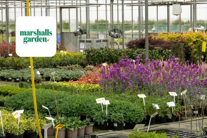 Marshalls-Gardens